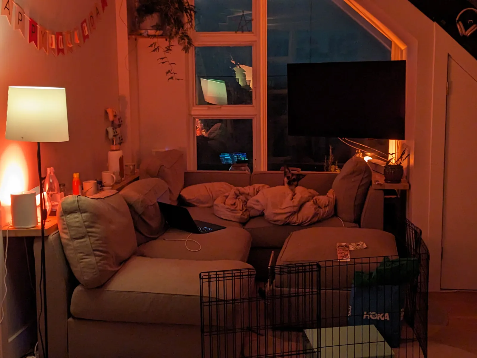 mr bear on the couch